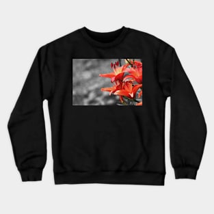 Orange Lily Flower Blossom, black and white photography Crewneck Sweatshirt